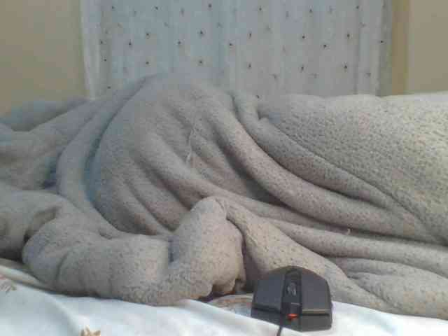 Shantell webcam