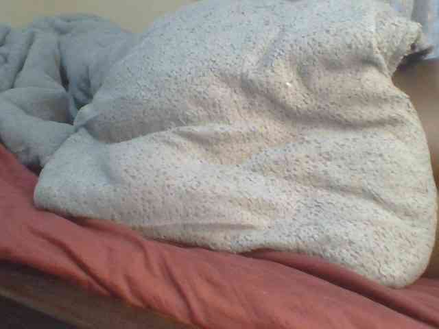 Shantell