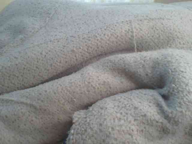 Shantell webcam