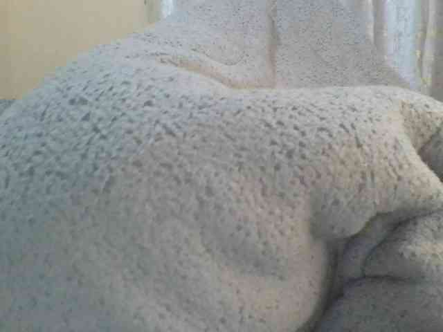 Shantell