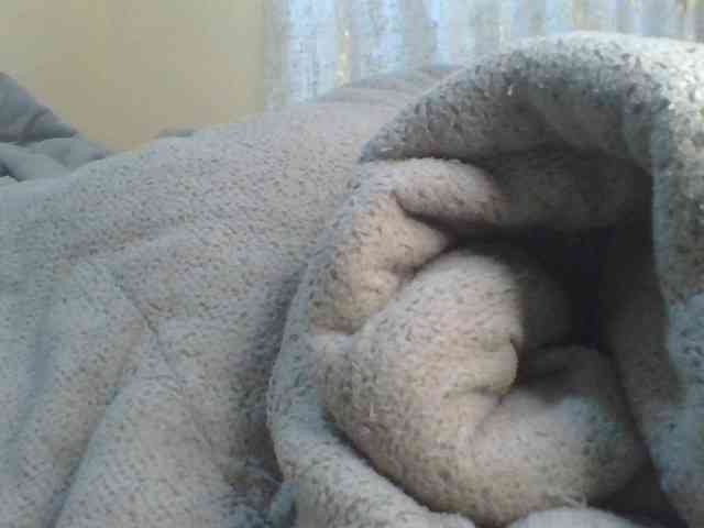 Shantell webcam