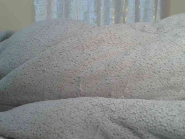 Shantell webcam