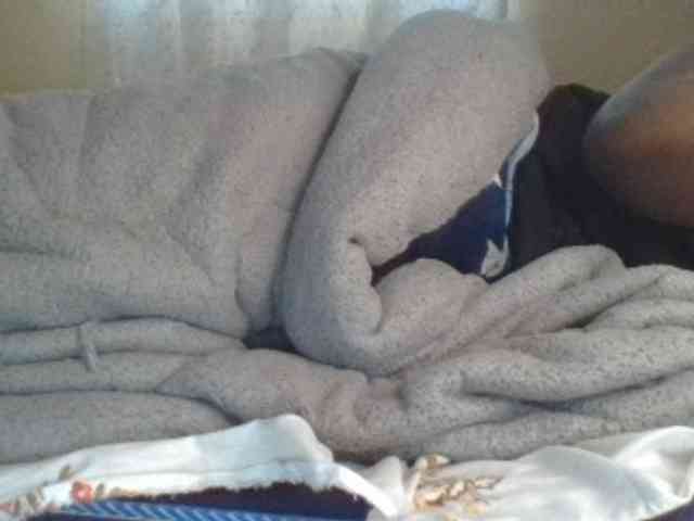 Shantell webcam