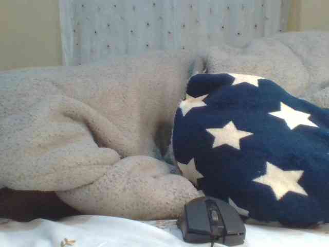 Shantell webcam