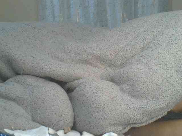 Shantell webcam