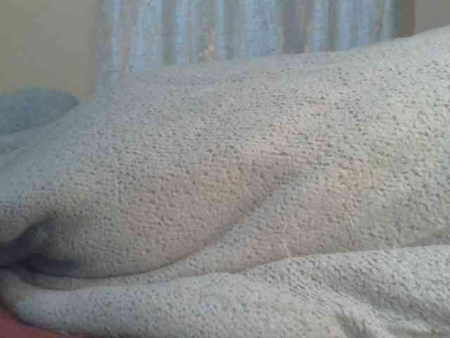 Shantell webcam