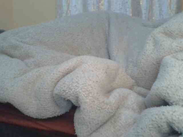 Shantell webcam