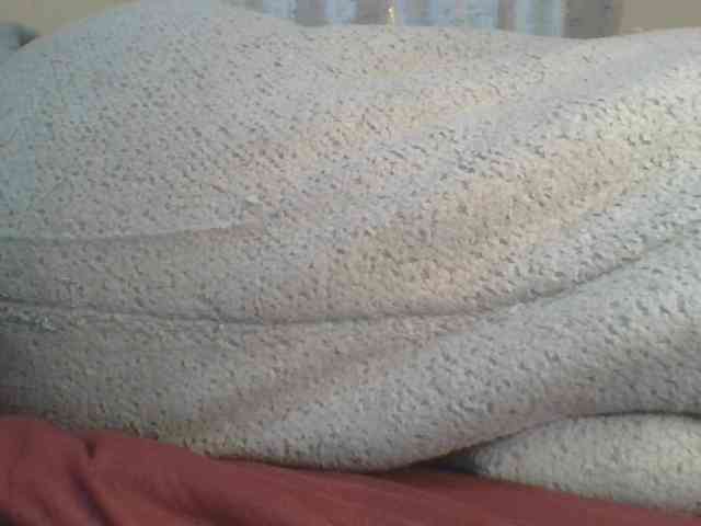 Shantell webcam