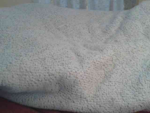Shantell webcam