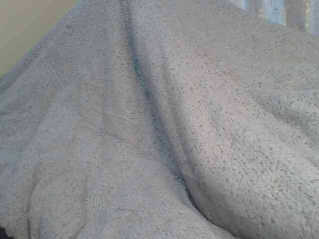 Shantell webcam