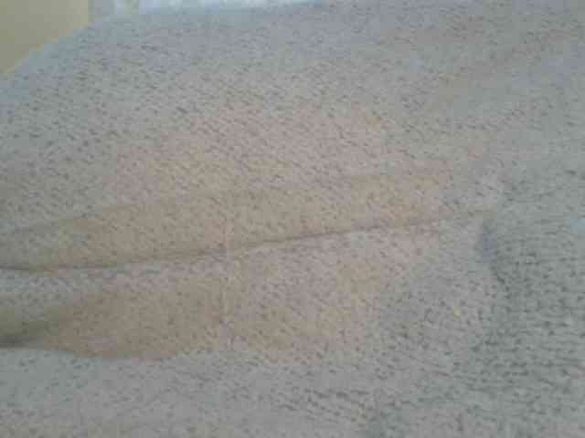 Shantell webcam