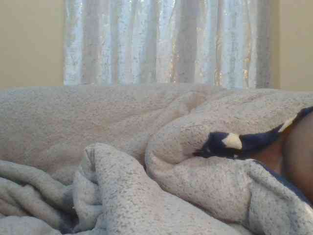 Shantell webcam