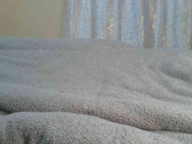 Shantell webcam