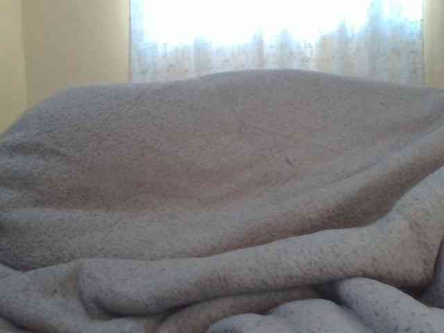 Shantell webcam