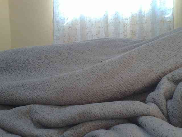 Shantell webcam