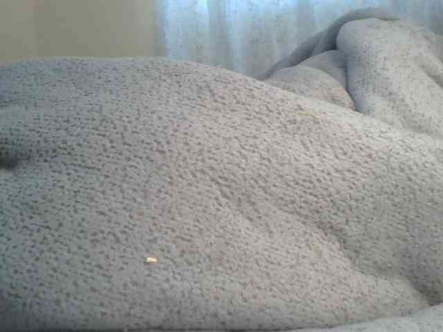 Shantell webcam