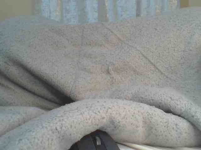 Shantell webcam