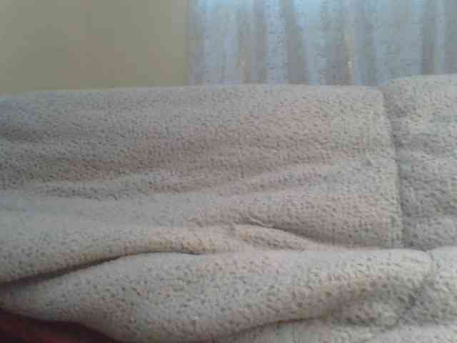 Shantell webcam