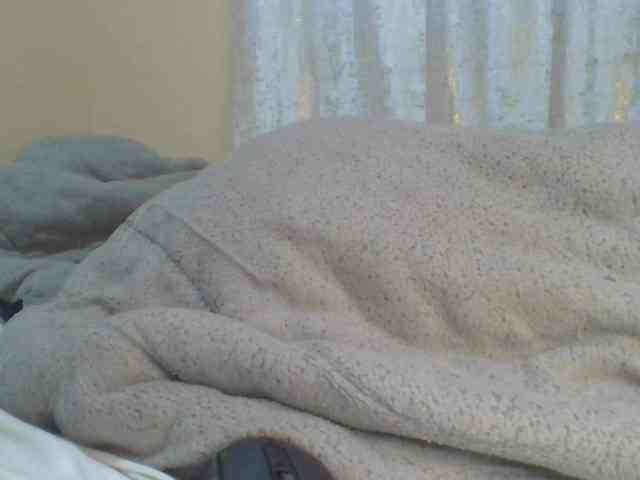 Shantell webcam