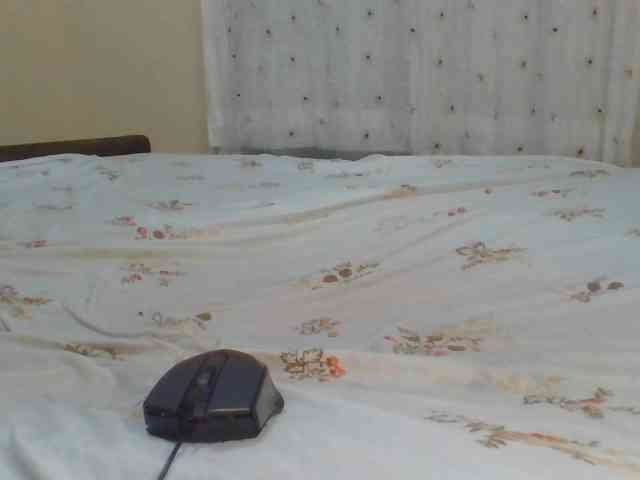 Shantell webcam