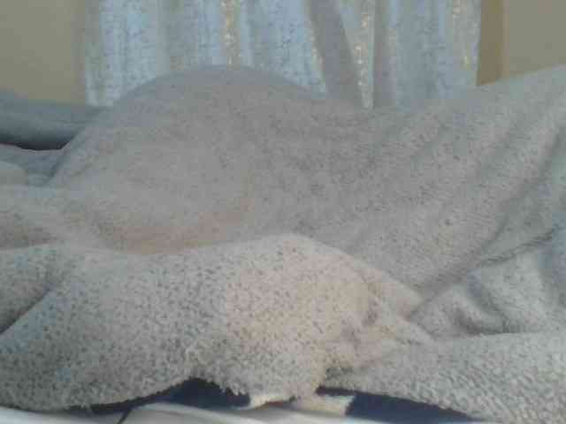 Shantell webcam