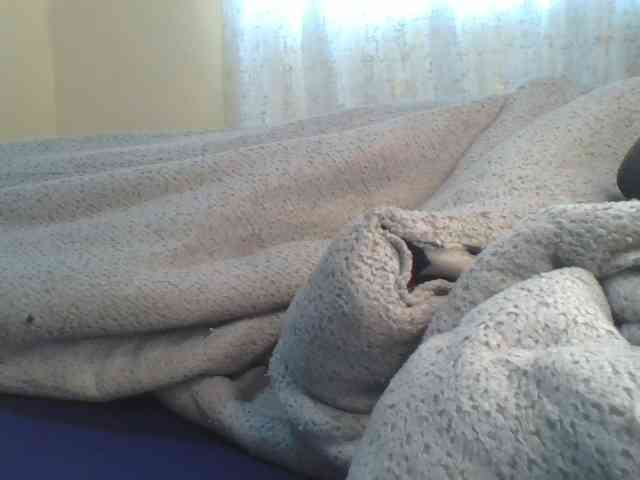 Shantell webcam