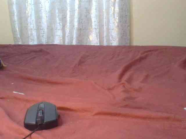 Shantell webcam
