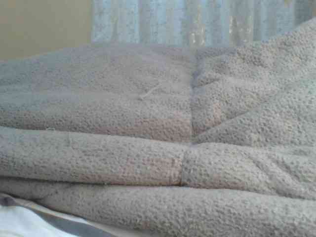 Shantell webcam