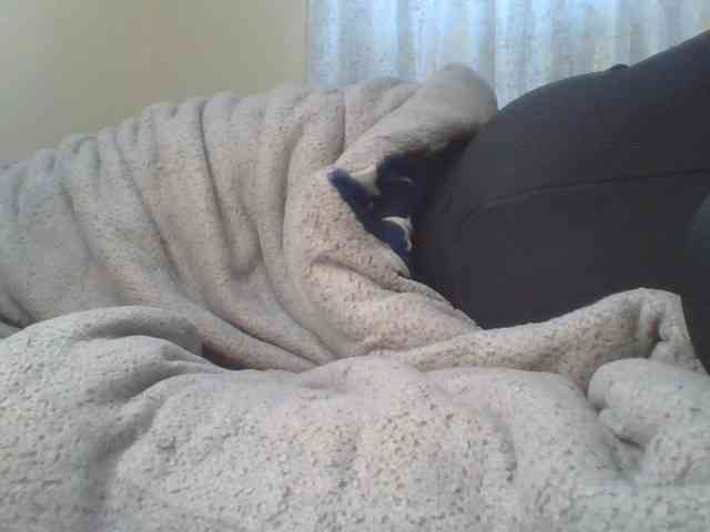 Shantell webcam