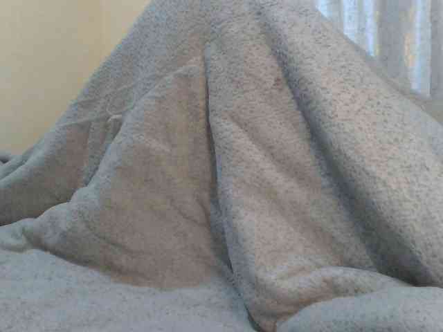 Shantell webcam