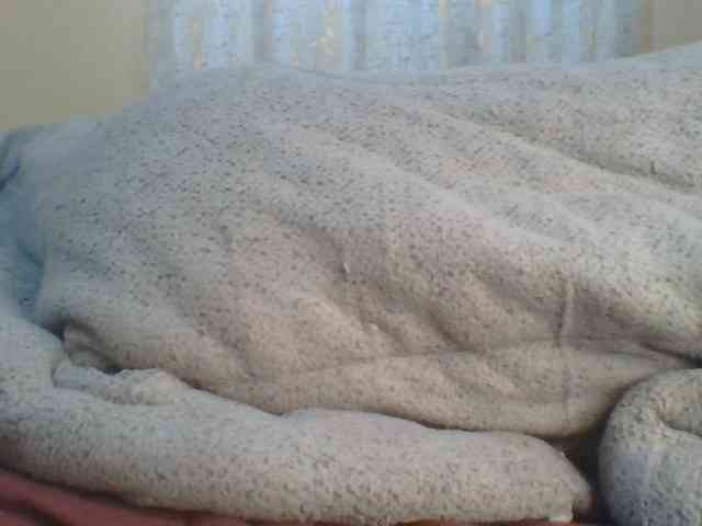 Shantell webcam