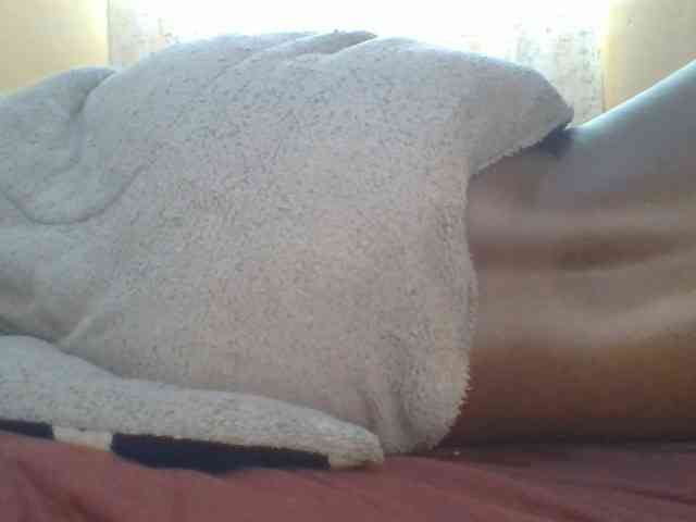 Shantell webcam