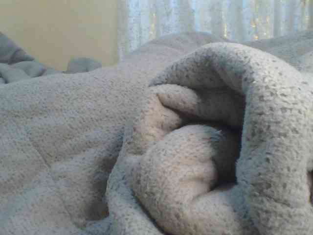 Shantell webcam