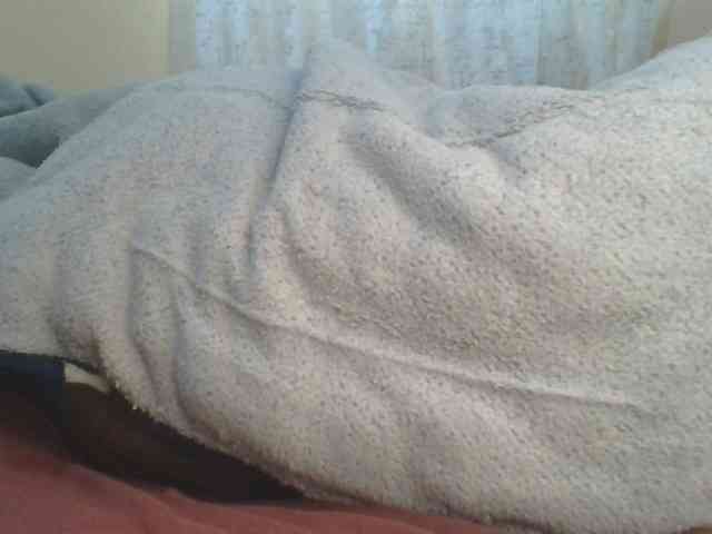 Shantell webcam