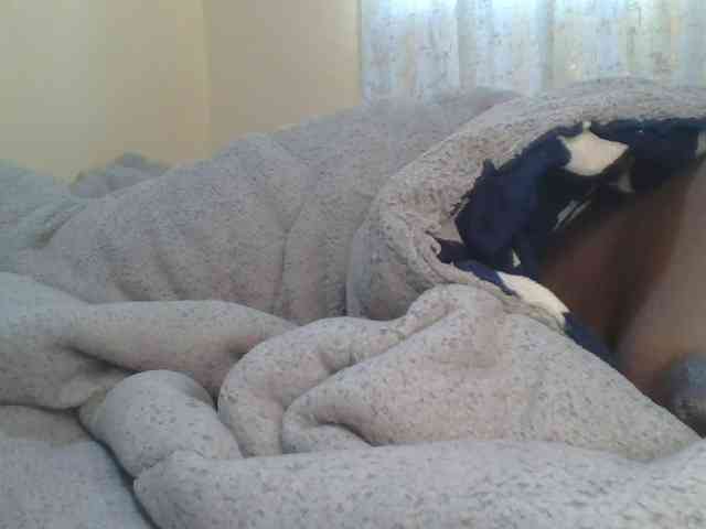 Shantell webcam