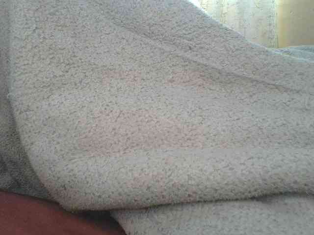 Shantell webcam