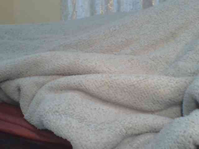 Shantell webcam