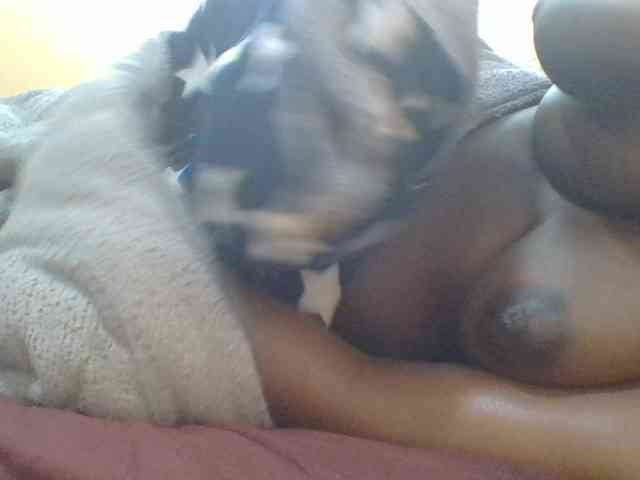Shantell webcam