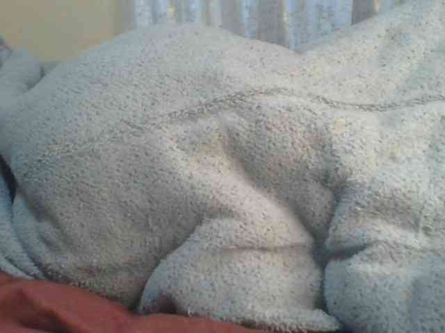Shantell webcam