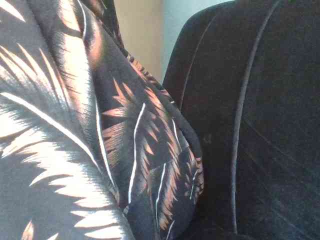 Shantell webcam