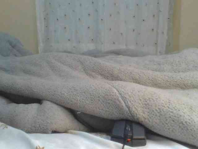Shantell webcam