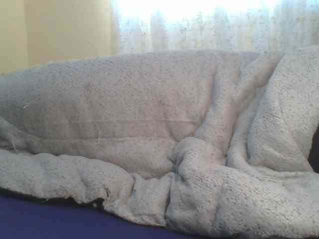 Shantell webcam