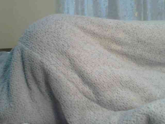 Shantell webcam