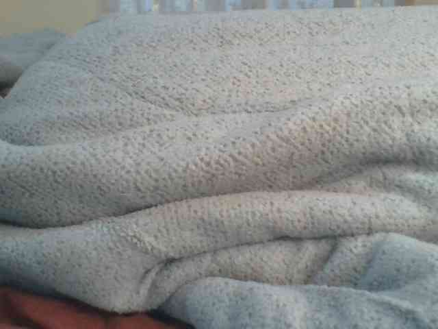 Shantell webcam