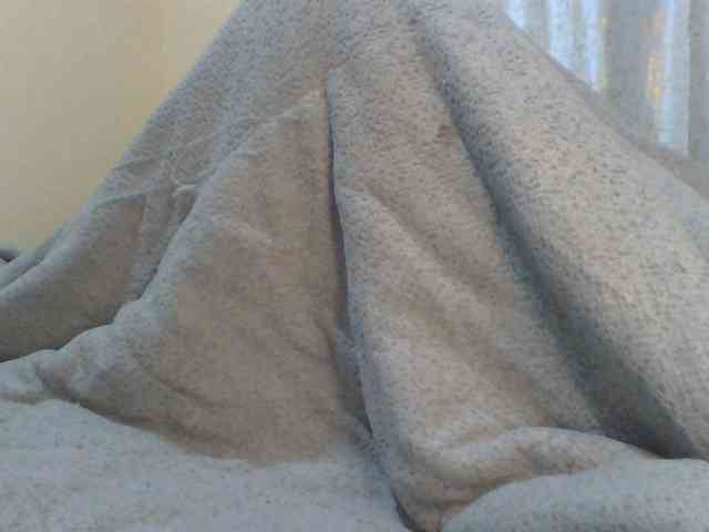 Shantell webcam