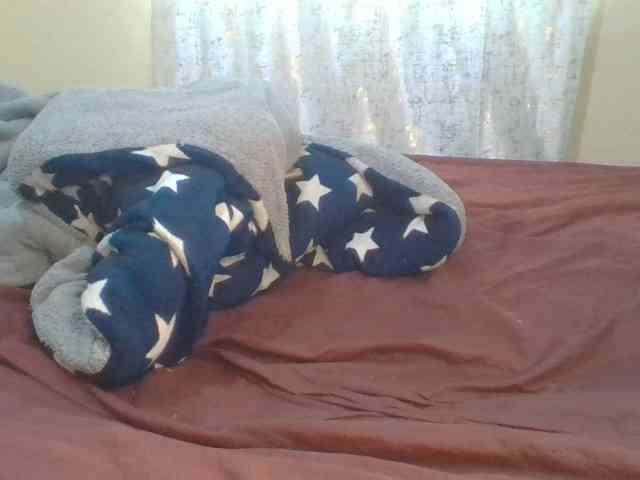 Shantell webcam