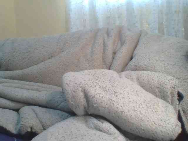 Shantell webcam