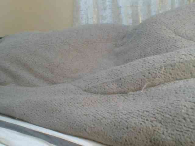 Shantell webcam