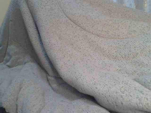 Shantell webcam