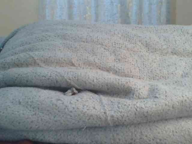 Shantell webcam